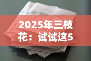2025年三枝花：试试这5个征信逾期能贷款的正规平台