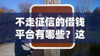不走征信的借钱平台有哪些？这几个渠道或许能帮你解决难题
