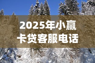 2025年小赢卡贷客服电话？罗列5个无视黑白户秒下款口子app