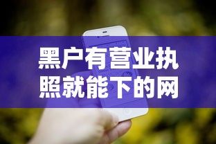 黑户有营业执照就能下的网贷？实测推荐这几个平台