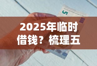 2025年临时借钱？梳理五个比较靠谱的借钱平台