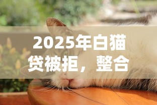2025年白猫贷被拒，整合五个新手机号容易下款的平台