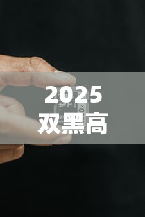 2025双黑高炮下款真实评测：这三类人最容易通过？小心这些坑！