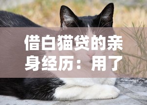 借白猫贷的亲身经历：用了半年才敢说的真实感受