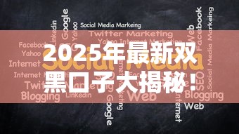2025年最新双黑口子大揭秘！这几个隐藏渠道或许能帮到你