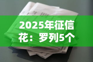 2025年征信花：罗列5个贷款平台代理