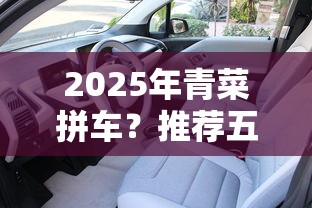 2025年青菜拼车？推荐五个黑名单能借钱的平台