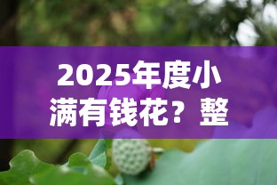 2025年度小满有钱花？整合五个借钱好通过率高平台