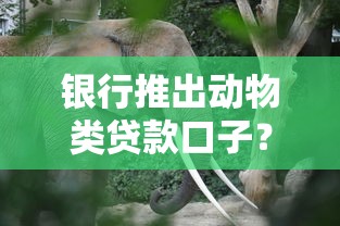 银行推出动物类贷款口子？这5类养殖户可申请低息资金