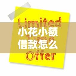 小花小额借款怎么申请？这5个平台最快当天到账！