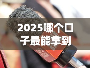 2025哪个口子最能拿到钱？这3个渠道最稳当！