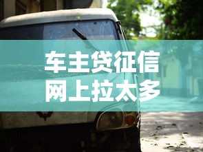 车主贷征信网上拉太多了能下款吗？老司机实测这3招管用