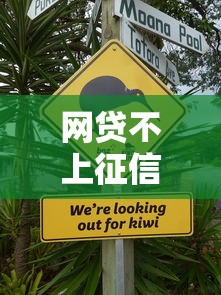 网贷不上征信不还怎么办？3个方法教你正确处理
