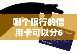哪个银行的信用卡可以分60期？真实测评这几家分期方案更划算