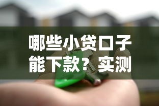 哪些小贷口子能下款？实测5家真实放款平台解析