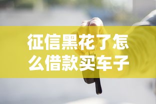 征信黑花了怎么借款买车子？试试这5个办法或许能解决