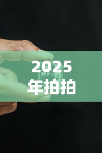 2025年拍拍贷好下款吗，整理5个征信黑了的人贷款的平台