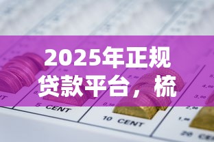 2025年正规贷款平台，梳理五个全网最全的黒口子平台