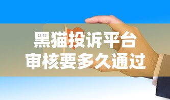 黑猫投诉平台审核要多久通过？实测后告诉你这些细节要注意