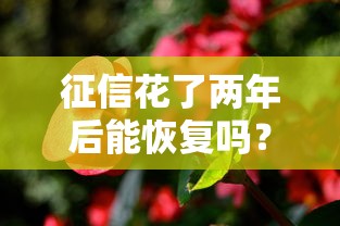 征信花了两年后能恢复吗？亲身经历告诉你真相
