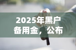 2025年黑户备用金，公布5个借款平台可以贷款