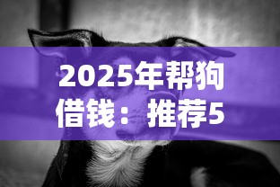 2025年帮狗借钱：推荐5个不回访不查征信好下款的口子