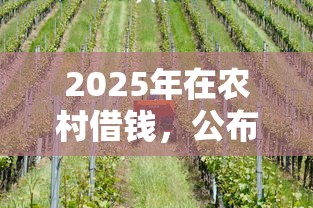 2025年在农村借钱，公布五个黑户能借的口子
