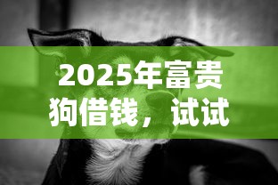 2025年富贵狗借钱，试试这五个夜里借款平台好下款