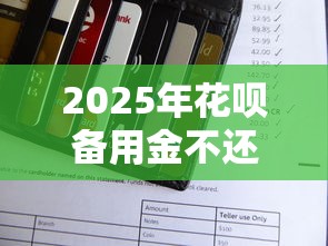 2025年花呗备用金不还会怎么样，试试这5个黑户可快速办理小额贷款业务的软件