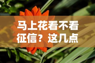 马上花看不看征信？这几点不注意容易踩坑