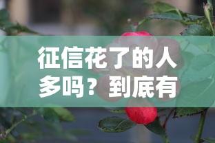 征信花了的人多吗？到底有多少人踩过这些坑