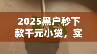 2025黑户秒下款千元小贷，实测这几个渠道容易过！