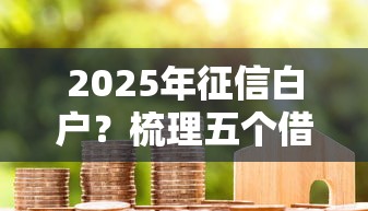 2025年征信白户？梳理五个借款平台借钱