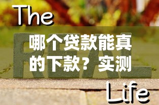 哪个贷款能真的下款？实测这5个平台审核快还稳