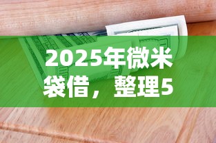 2025年微米袋借，整理5个网上借钱安全可靠的平台