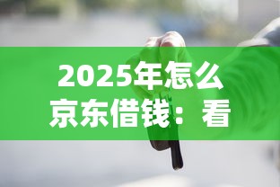 2025年怎么京东借钱：看看这五个车抵押贷款平台