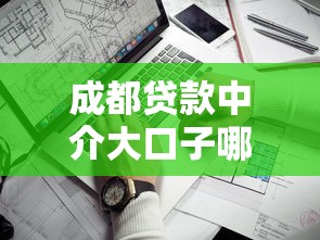 成都贷款中介大口子哪家靠谱？资深人士教你避坑指南