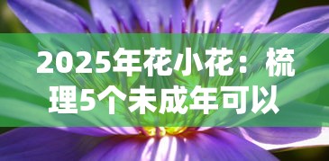 2025年花小花：梳理5个未成年可以贷款的平台