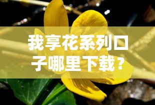 我享花系列口子哪里下载？这几个靠谱渠道你一定要试试