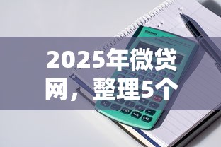 2025年微贷网，整理5个小型贷款平台
