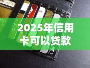 2025年信用卡可以贷款？推荐五个线上小额贷款平台