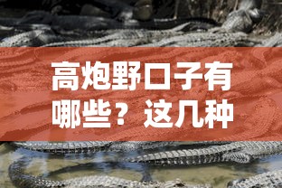 下款快的小额贷款平台有哪些？这5个正规渠道审核快门槛低