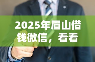 2025年眉山借钱微信，看看这5个小微企业网上贷款平台