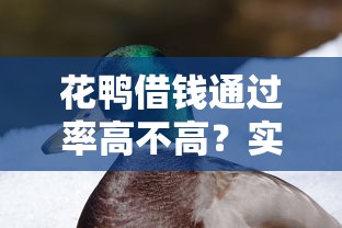 花鸭借钱通过率高不高？实测后发现了这些细节