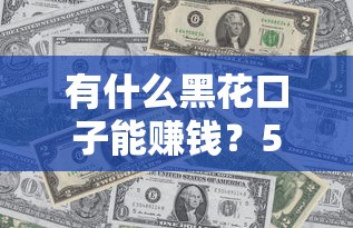 有什么黑花口子能赚钱？5个正规低息贷款渠道实测