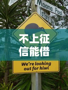 不上征信能借3千的有哪些？这3个平台审核快、门槛低！