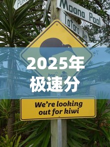 2025年极速分期？罗列5个绝对不上征信的贷款平台