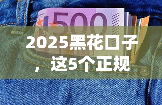 2025黑花口子，这5个正规平台能帮你解决资金难题？