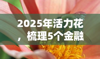 2025年活力花，梳理5个金融创新秒下不要芝麻分的口子
