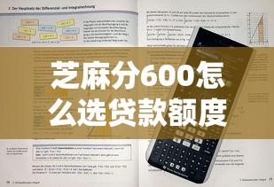 芝麻分600怎么选贷款额度？这5个技巧帮你避坑